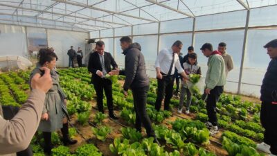 Manisa'nın Sarıgöl ilçesinde, Sarıgöl Milli Egemenlik Çok Programlı Anadolu Lisesi