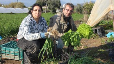 Aydın’ın Sultanhisar ilçesine bağlı Atça Mahallesi’nde yaşayan Arif-Zülfiye Solagay çifti,