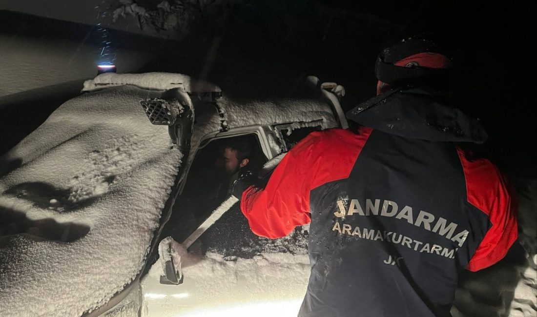 Kocaeli’nin Başiskele ilçesi Servetiye Mahallesi mevkiinde bulunan ormanlık alanda kaybolan