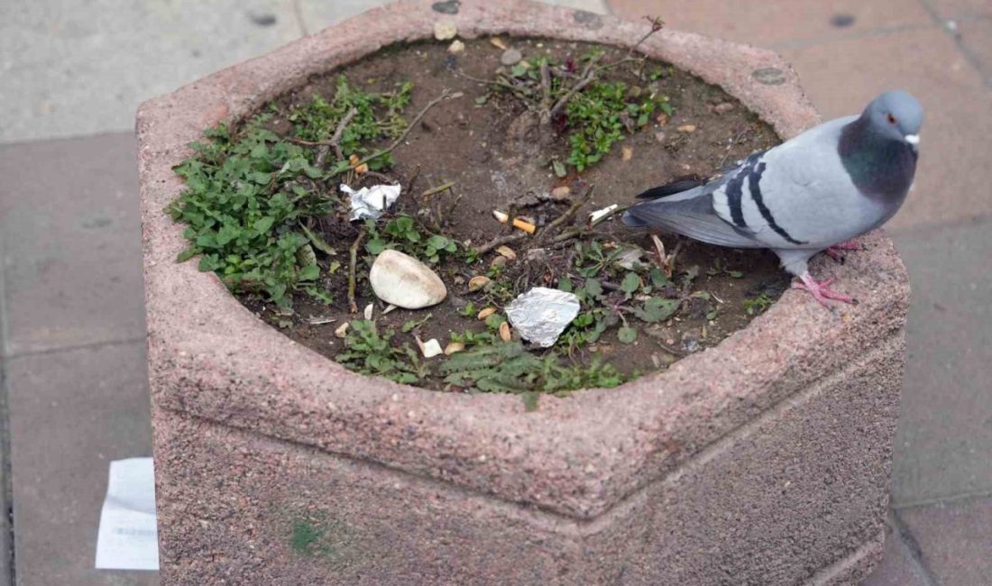 Eskişehir’de, çöp, sigara izmariti, çekirdek kabuğu ve benzeri atıkları çöp