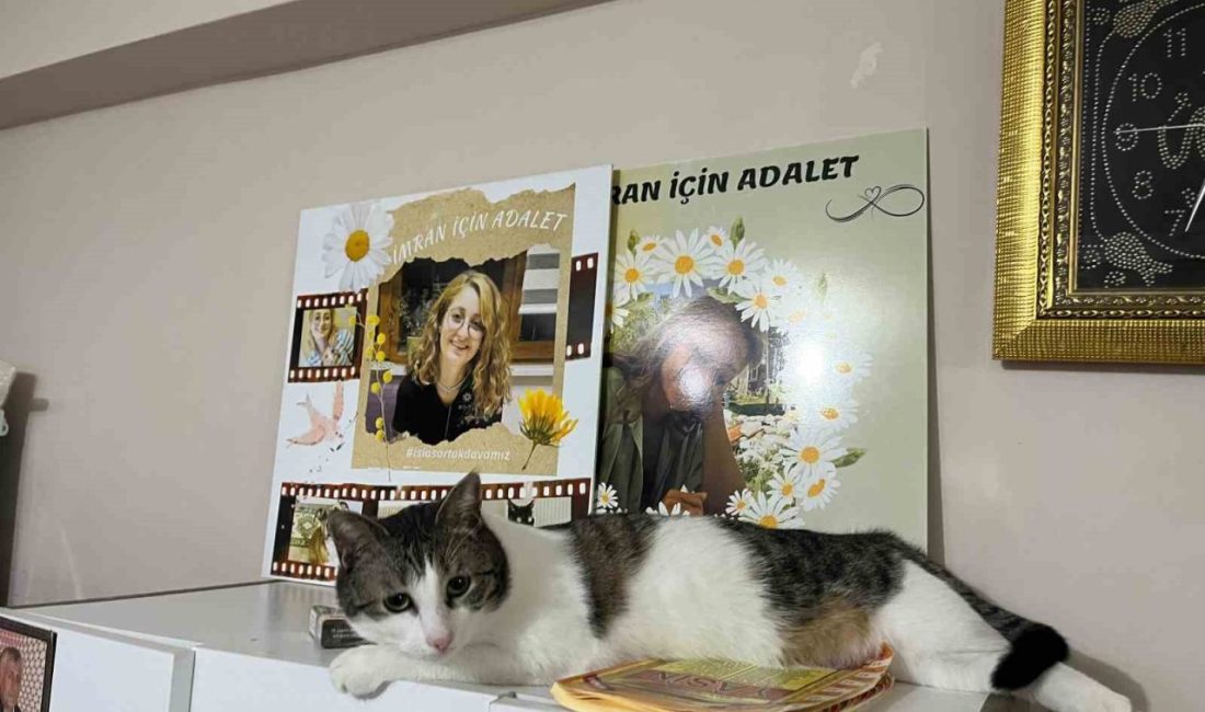 Adıyaman’da 6 Şubat depreminde otelde hayatını kaybeden 72 kişiden 25