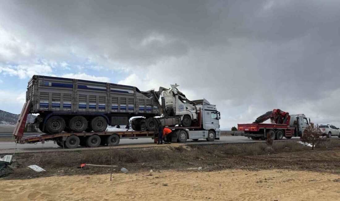 Afyonkarahisar’da büyükbaş hayvan yemi yüklü tır kontrolden çıkarak şarampole devrilirken,