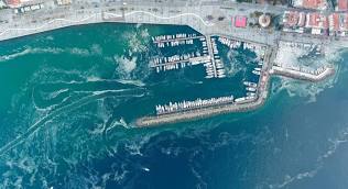 Marmara Denizi ile Ege’nin bir bölümünde 2021’den bu yana belirli