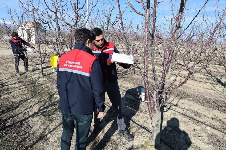 Afyonkarahisar’da ekimi yapılan alanlarda hasat verimini arttırmak amacıyla başlatılan hastalık