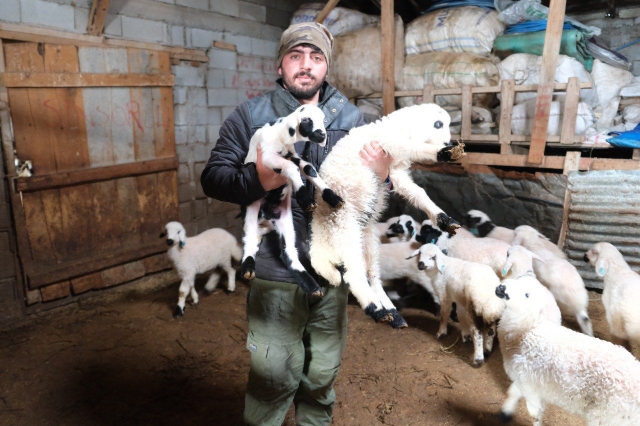 Erzincan’ın Kemah ilçesine bağlı Oğuz köyünde küçükbaş hayvan üreticileri için
