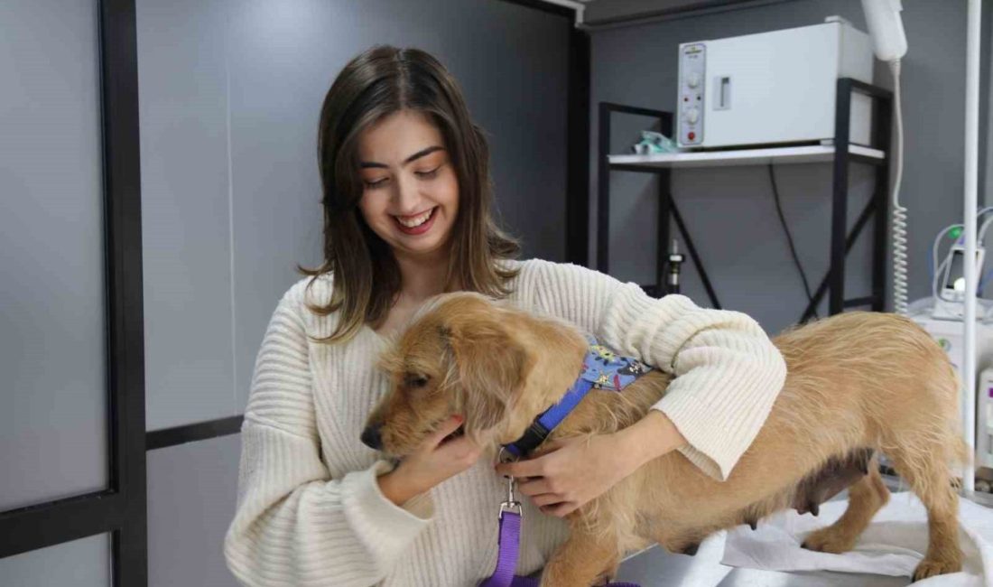 Eskişehir’de kimliği belirsiz kişi veya kişilerce tüfekle vurulan ve 12
