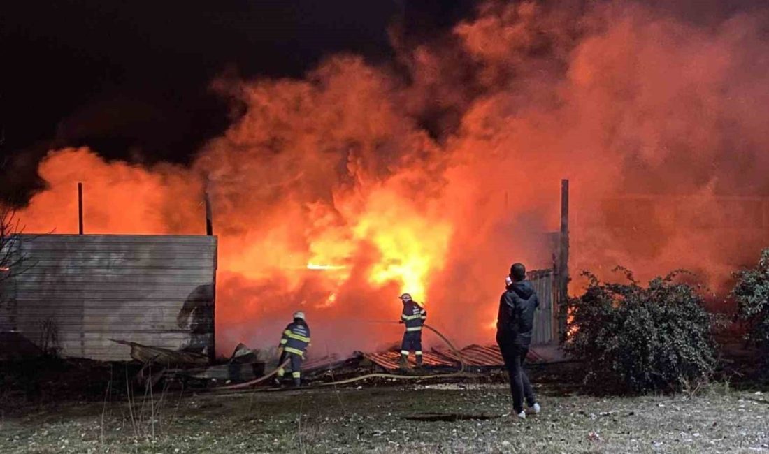Eskişehir’de geri dönüşüm tesisinde çıkan yangın korkuttu.