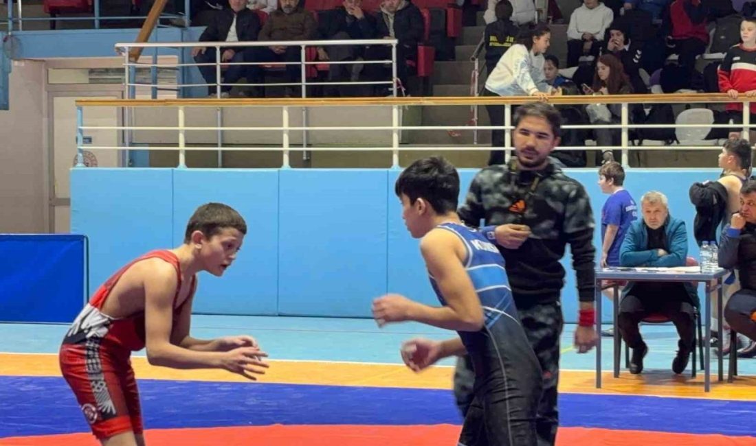 Grekoromen U15-U17 U-20 il birinciliği müsabakaları, kadınlar U-17-U23 güreş müsabakaları