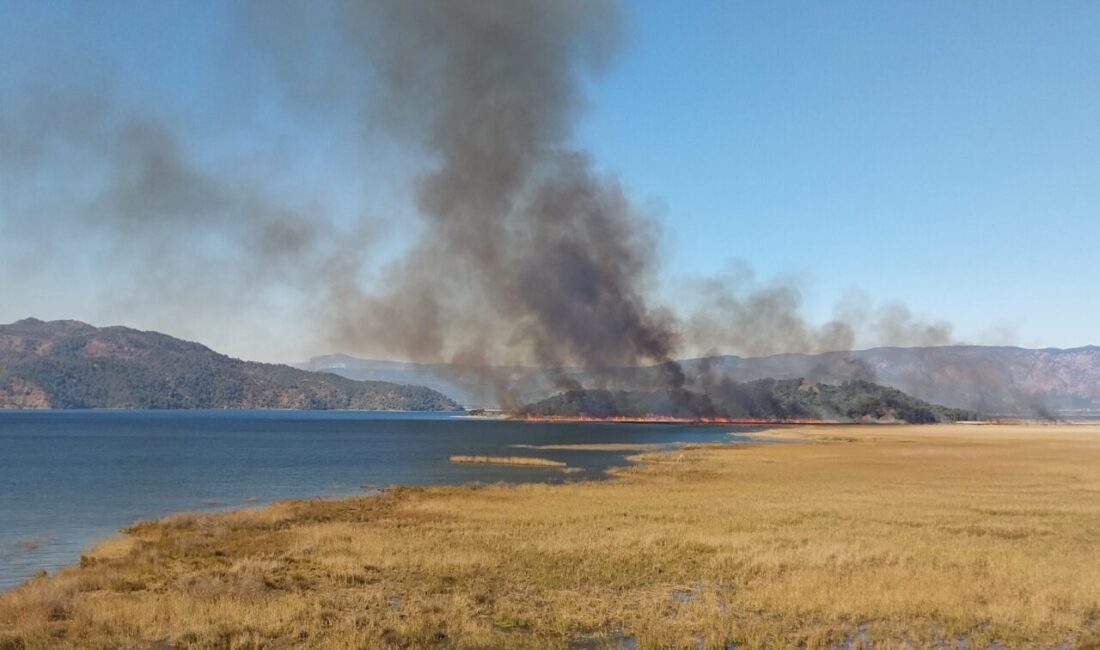 Muğla'nın Köyceğiz ilçesinde göldeki sazlık alanda yangın çıktı.
Köyceğiz Gölü yakınındaki