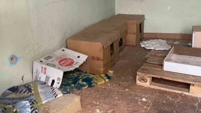 Eskişehir’de metruk bir binanın içinde yer alan kedi evleri görenler