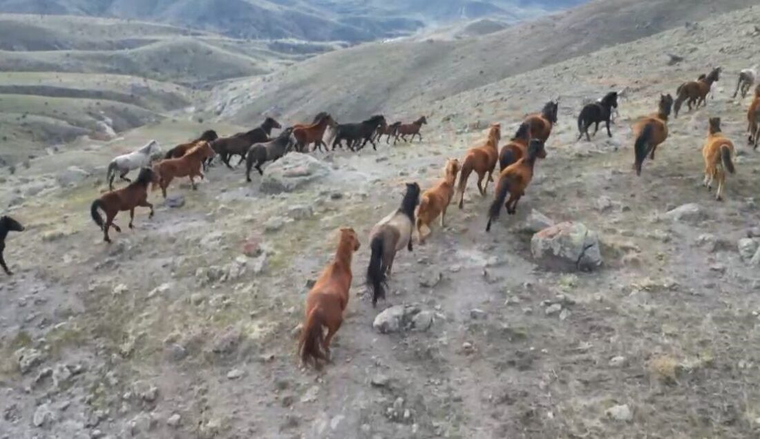 Olumsuz hava şartları ile birlikte sıcaklıkların eksi 10 derecelere kadar