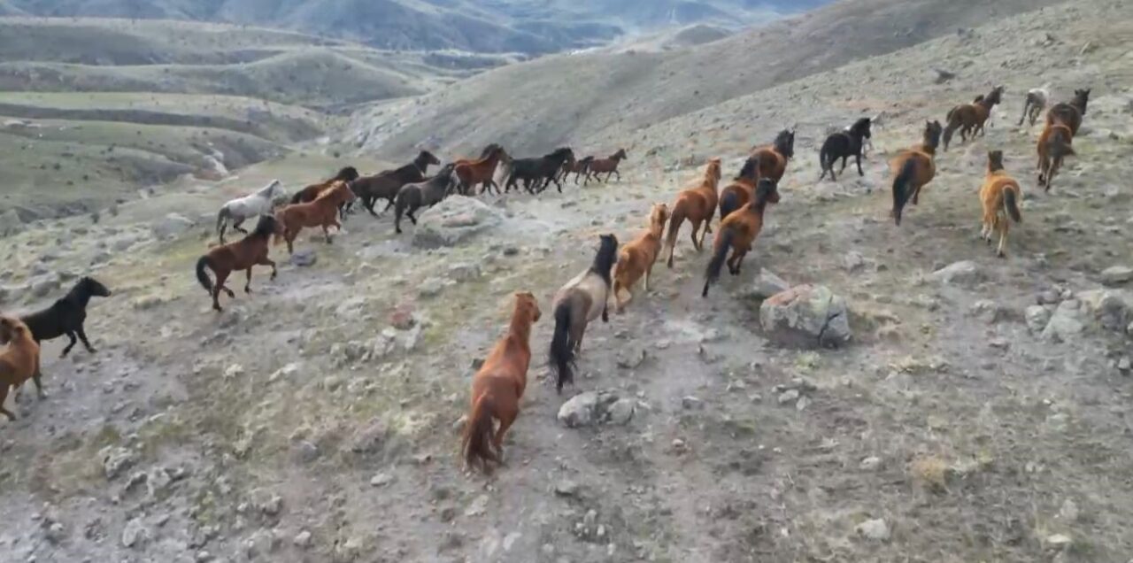 Olumsuz hava şartları ile birlikte sıcaklıkların eksi 10 derecelere kadar