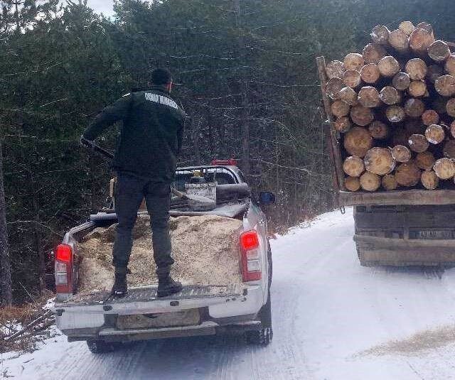 Simav’da orman yolunda kalan kamyonların imdadına orman işletme müdürlüğü ekipleri yetişti Kütahya’nın Simav ilçesinde etkili olan kar yağışı ve don sebebiyle