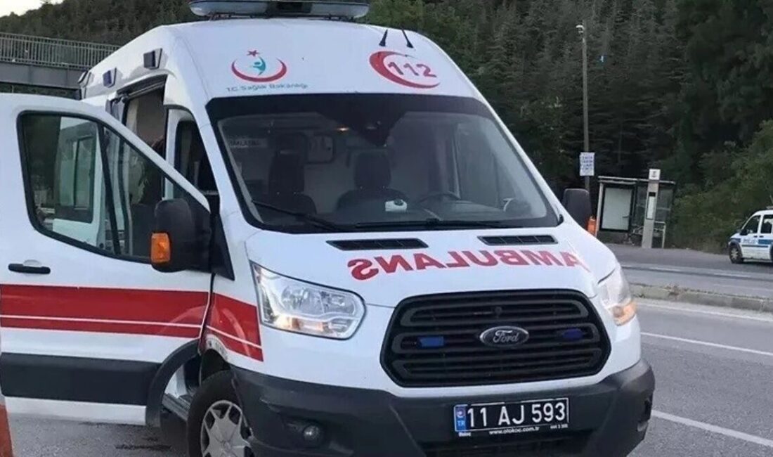 Bilecik’te seyir halinde kontrolden çıkarak devrilen motosiklet sürücüsü yaralandı.