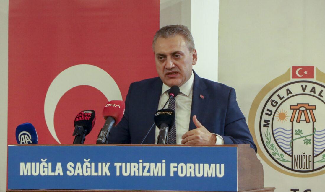 Uluslararası Sağlık Hizmetleri AŞ (USHAŞ) Genel Müdürü Behlül Ünver, Türkiye'nin