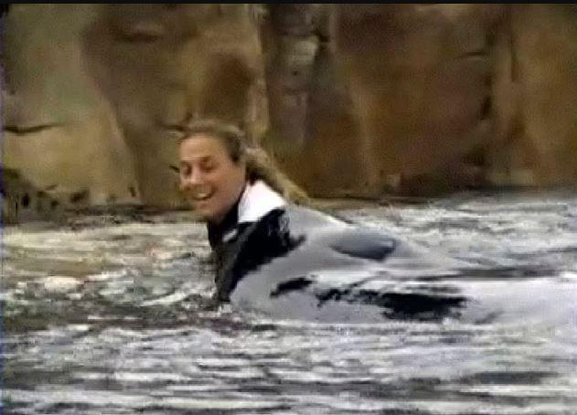 Amerika'nın ünlü su parkı SeaWorld'de 10 yıl önce yaşanan trajik