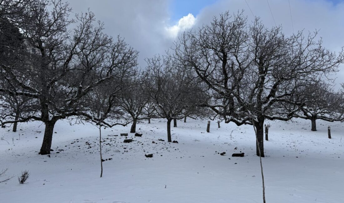 Aydın Efeler, Nazilli, Köşk, Buharkent, Sultanhisar ve Kuyucak ilçelerinin yüksek