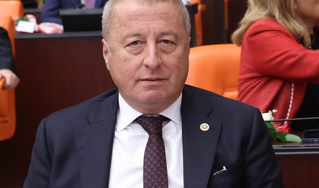İYİ Parti Genel Başkan Yardımcısı ve Afyonkarahisar Milletvekili Hakan Şeref