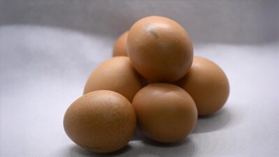 Sofralık yumurta ihracatına uygulanan fon kesintisi kilogramda 0,5 dolardan 1,5