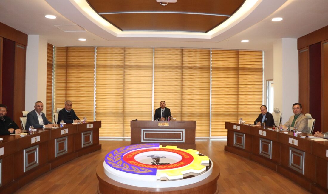 Afyonkarahisar Blok Mermer Fuarı Danışma Kurulu toplantısı, Vali Yardımcısı Ali