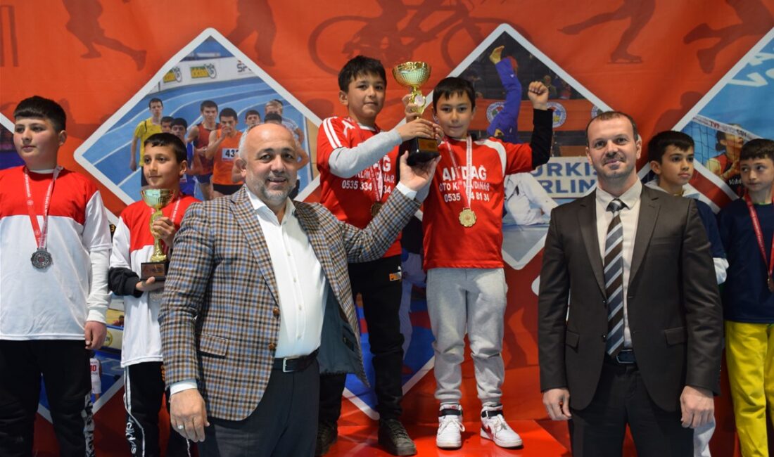 Okul Sporları Faaliyet Programı kapsamında, yıldızlar ve gençler (karma) kategorilerinde