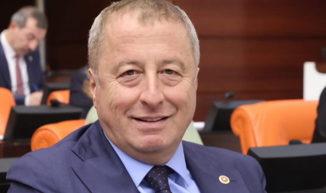 İYİ Parti Genel Başkan Yardımcısı ve Afyonkarahisar Milletvekili Hakan Şeref