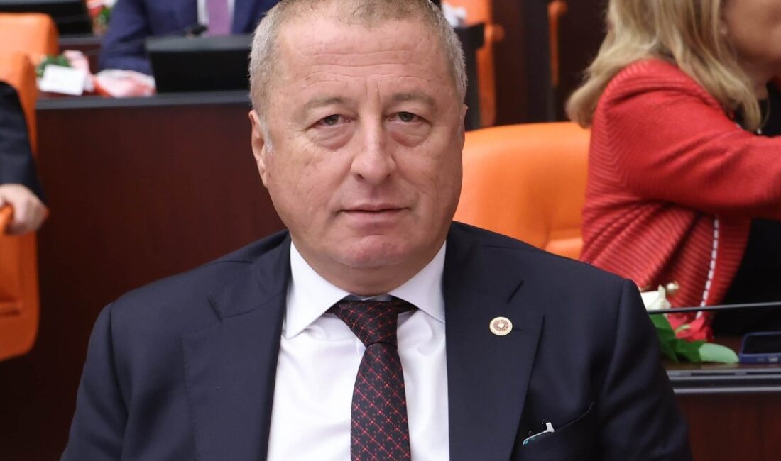 İYİ Parti Genel Başkan Yardımcısı ve Afyonkarahisar Milletvekili Hakan Şeref
