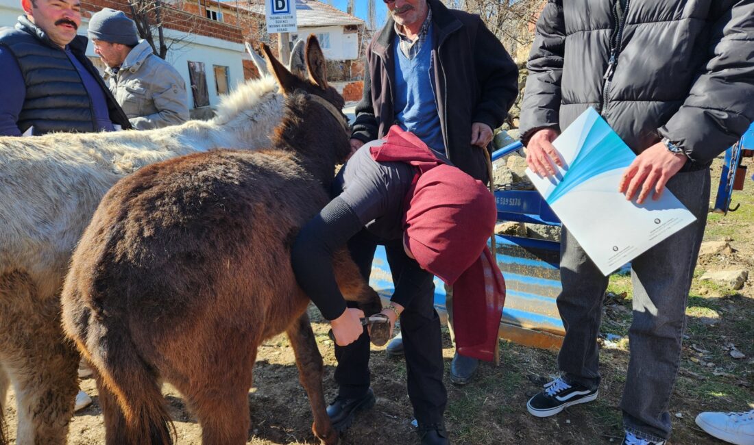 Afyon Kocatepe Üniversitesi (AKÜ) Şuhut Meslek Yüksekokulu (MYO), Bayat MYO