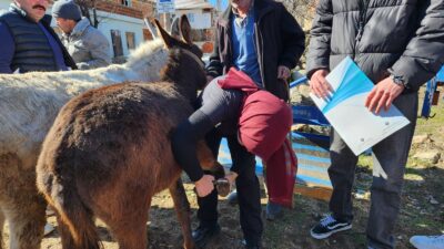 Afyon Kocatepe Üniversitesi (AKÜ) Şuhut Meslek Yüksekokulu (MYO), Bayat MYO