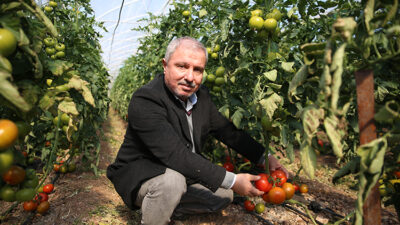 
Türkiye'de örtü altı yaş sebze ve meyve üretiminde önemli yeri