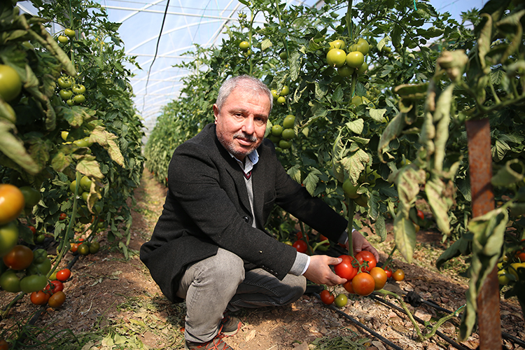 
Türkiye'de örtü altı yaş sebze ve meyve üretiminde önemli yeri