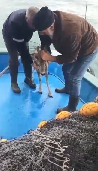 Artvin'in Hopa ilçesinde ilginç bir kurtarma operasyonu gerçekleşti. Yoğun kar