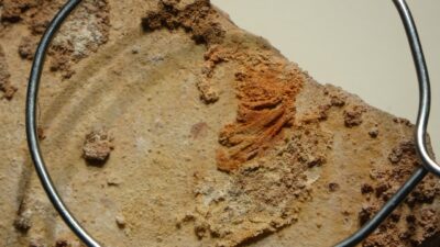 Çorum'da 1995 yılında yürütülen kazı çalışmaları sırasında bulunan 3 bin