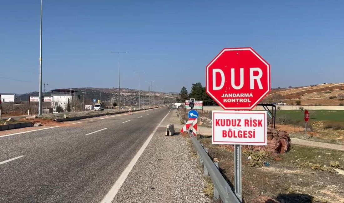 Adıyaman'ın Besni ilçesi Köseceli beldesinde bir köpeğin kuduz olduğu tespit