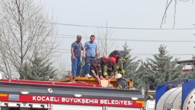  Kocaeli'nin Körfez ilçesinde bir kişi, tehlikeli madde taşıyan bir tırın