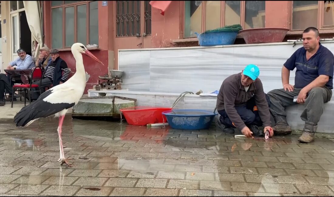 Adem amcanın kayığına konarak elinden balık yemek için 14 yıldır