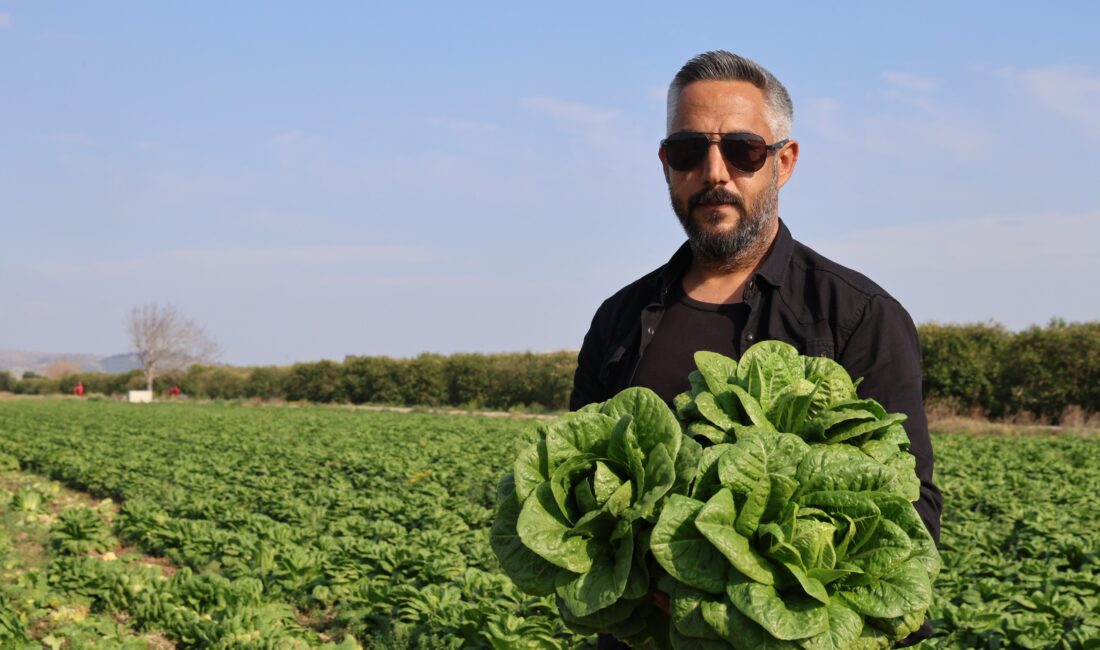 Türkiye'nin üretim merkezlerinden Adana'nın tarlalarda yetiştirilen her mevsimin olmazsa olmazı