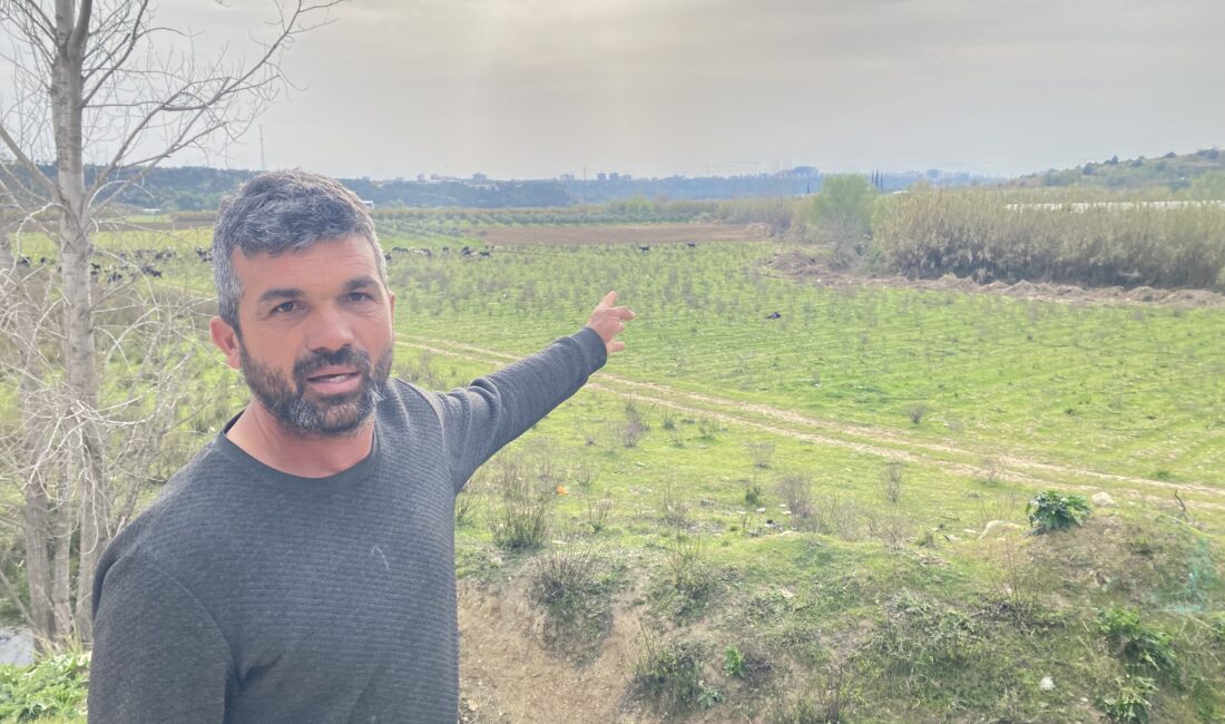  Antalya'nın Aksu ilçesinde keçilerini otlatan çobana kimliği belirsiz bir kişi