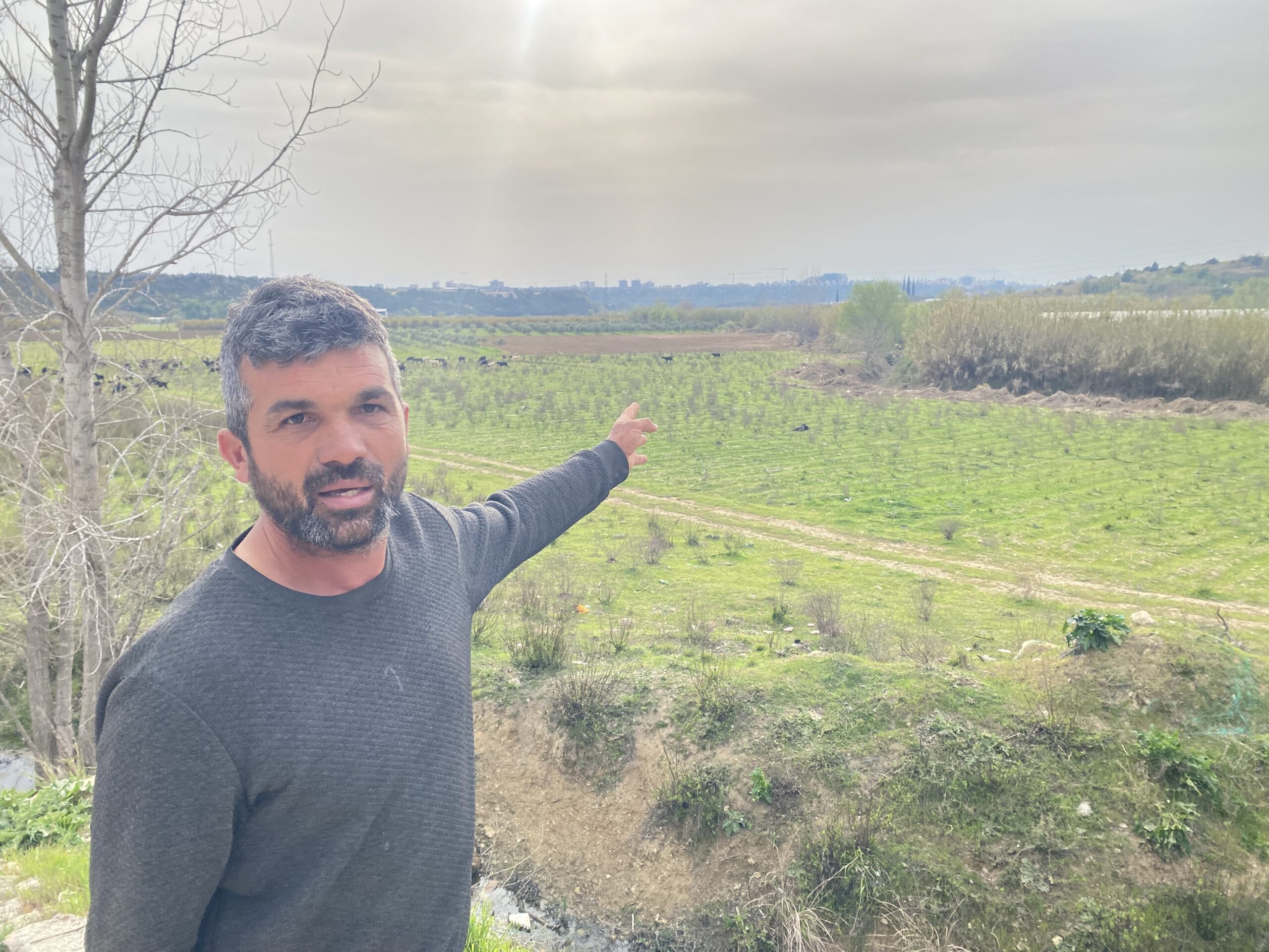  Antalya'nın Aksu ilçesinde keçilerini otlatan çobana kimliği belirsiz bir kişi