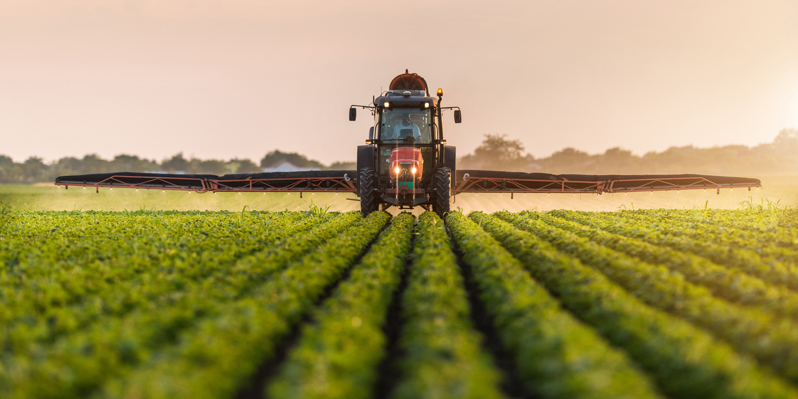Afyonkarahisar, Uluslararası Tarımsal Kalkınma Fonu (IFAD) tarafından desteklenen büyük bir