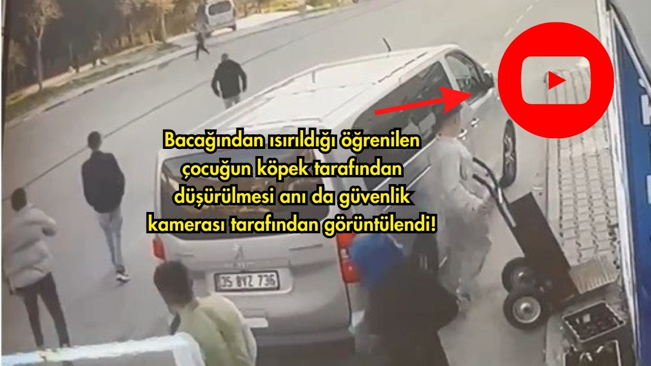 İzmir'in Bayraklı ilçesinde sokakta yürüyen bir çocuğa sokak köpeği aniden
