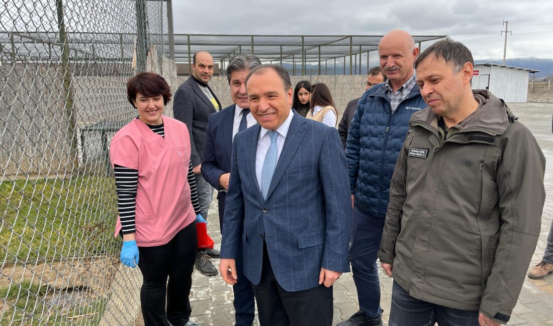 Afyon Kocatepe Üniversitesi Rehabilitasyon Merkezi (AKÜREM), Dünya Yaban Hayatı Günü