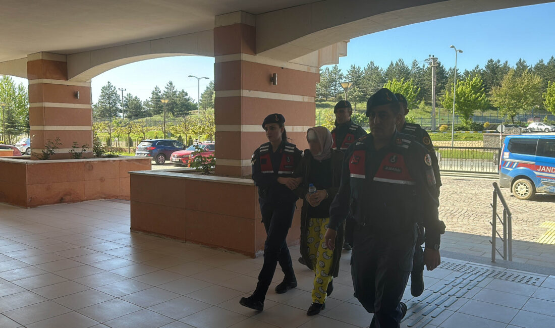Kastamonu'da öldürdükleri vatandaşın başını keserek sulama kanalına atan sanıklar, ilk
