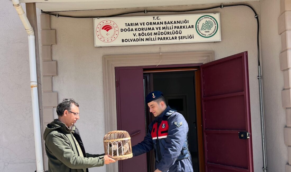 Afyonkarahisar İl Jandarma Komutanlığı, Bolvadin İlçesi Derekarabağ Köy yolunda gerçekleştirdiği