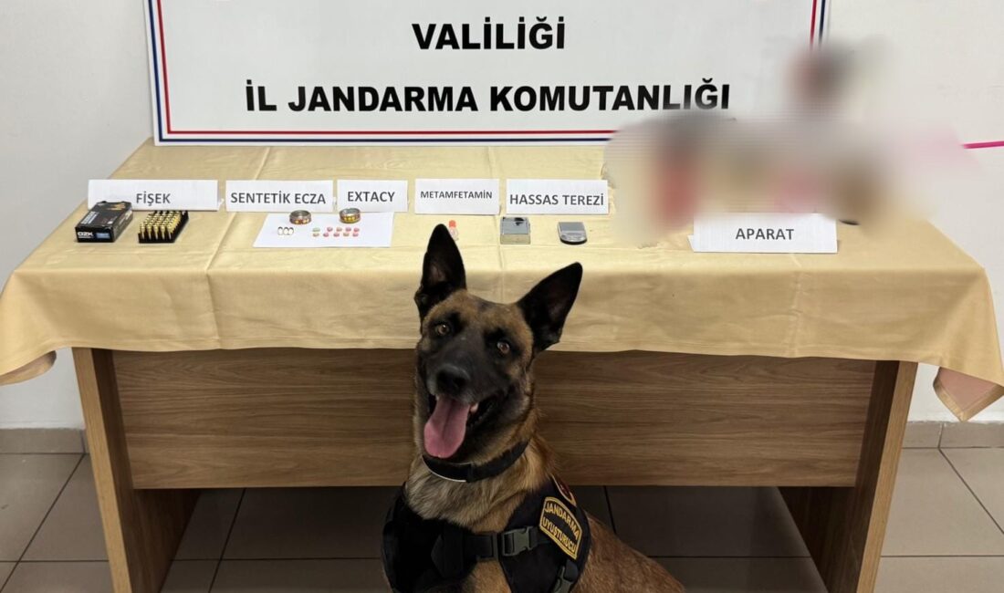 Afyonkarahisar’da Uyuşturucu Madde Ele Geçirildi, 2 Şahıs Tutuklandı