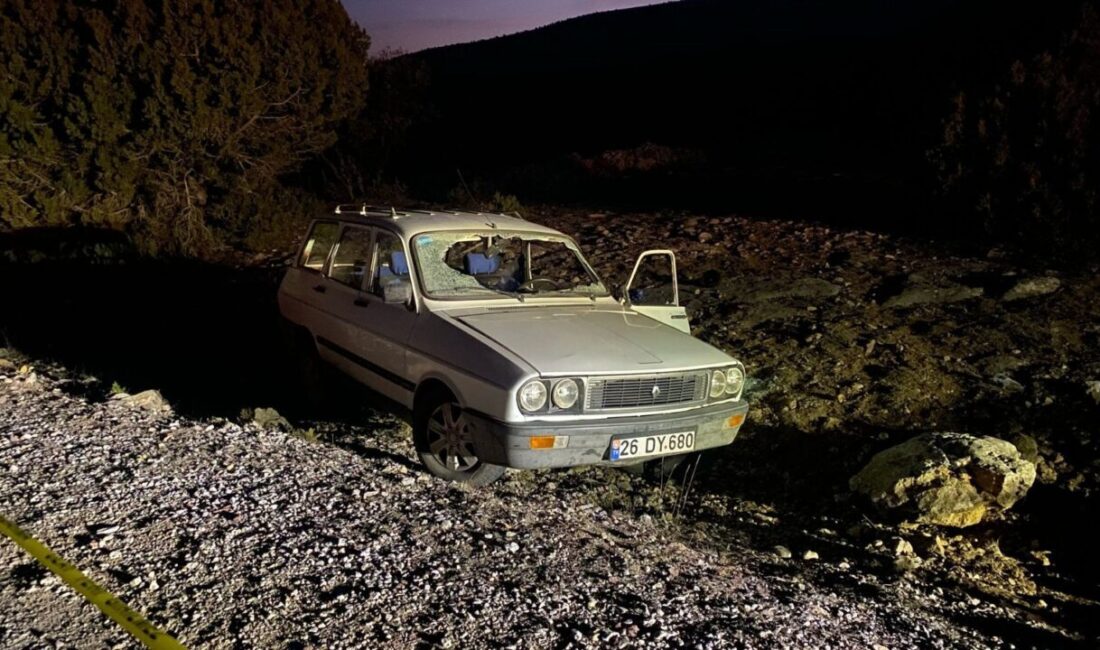 AFYONKARAHİSAR (AA) – Afyonkarahisar'ın Bayat ilçesinde devrilen otomobilin sürücüsü hayatını