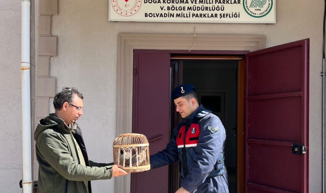 AFYONKARAHİSAR (AA) – Afyonkarahisar'ın Bolvadin ilçesinde keklik avlayan 3 kişiye