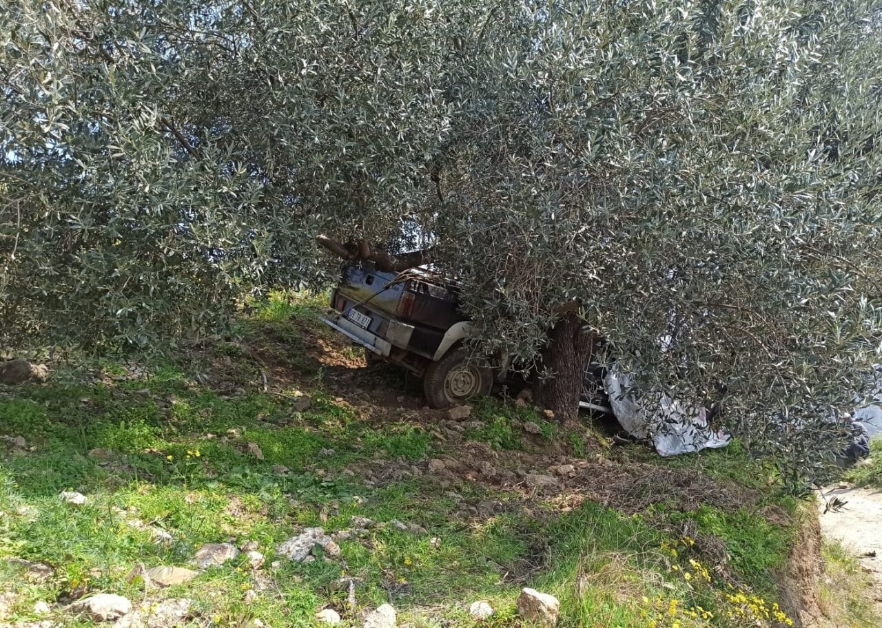 Aydın'ın Efeler ilçesinde ağaca çarpan pikabın sürücüsü hayatını kaybetti.