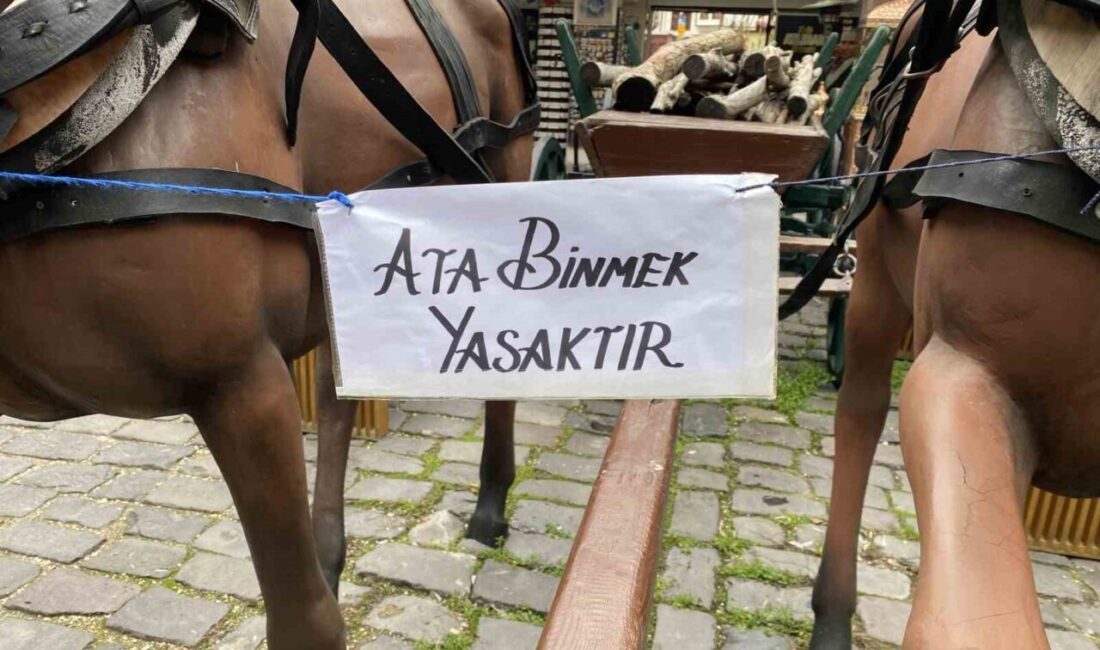 Eskişehir’de Atlıhan El Sanatları Çarşısı’nda bulunan at heykellerinin üzerine asılmış