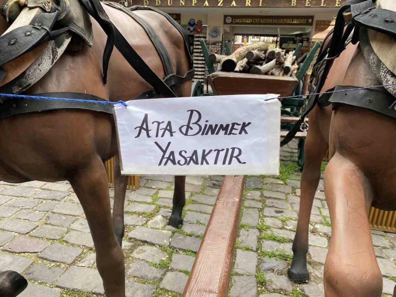 Eskişehir’de Atlıhan El Sanatları Çarşısı’nda bulunan at heykellerinin üzerine asılmış
